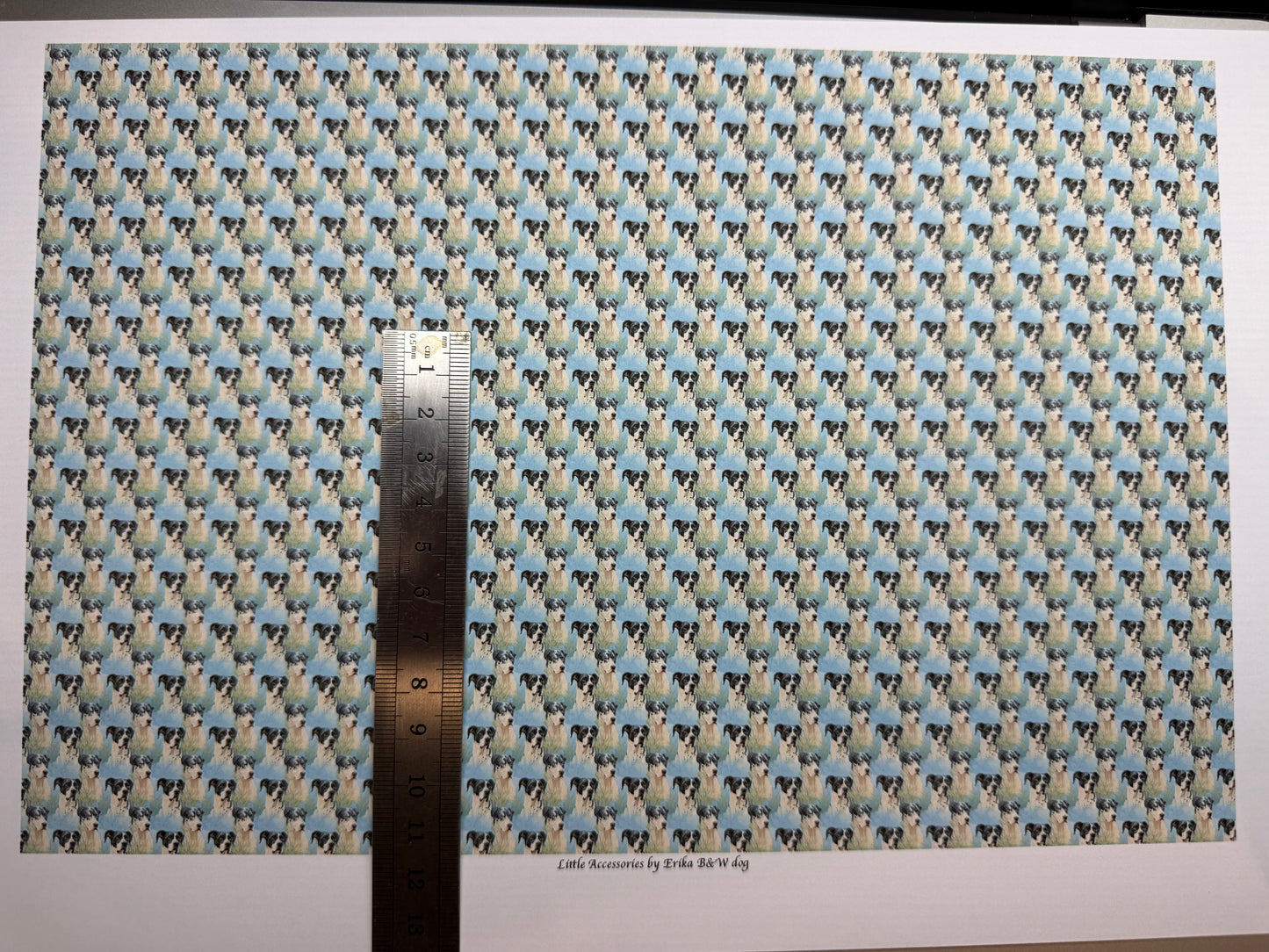 Wallpaper ANIMALS DOGS black & white