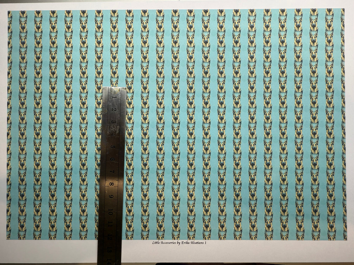 Wallpaper Animals DOGS Alsatians