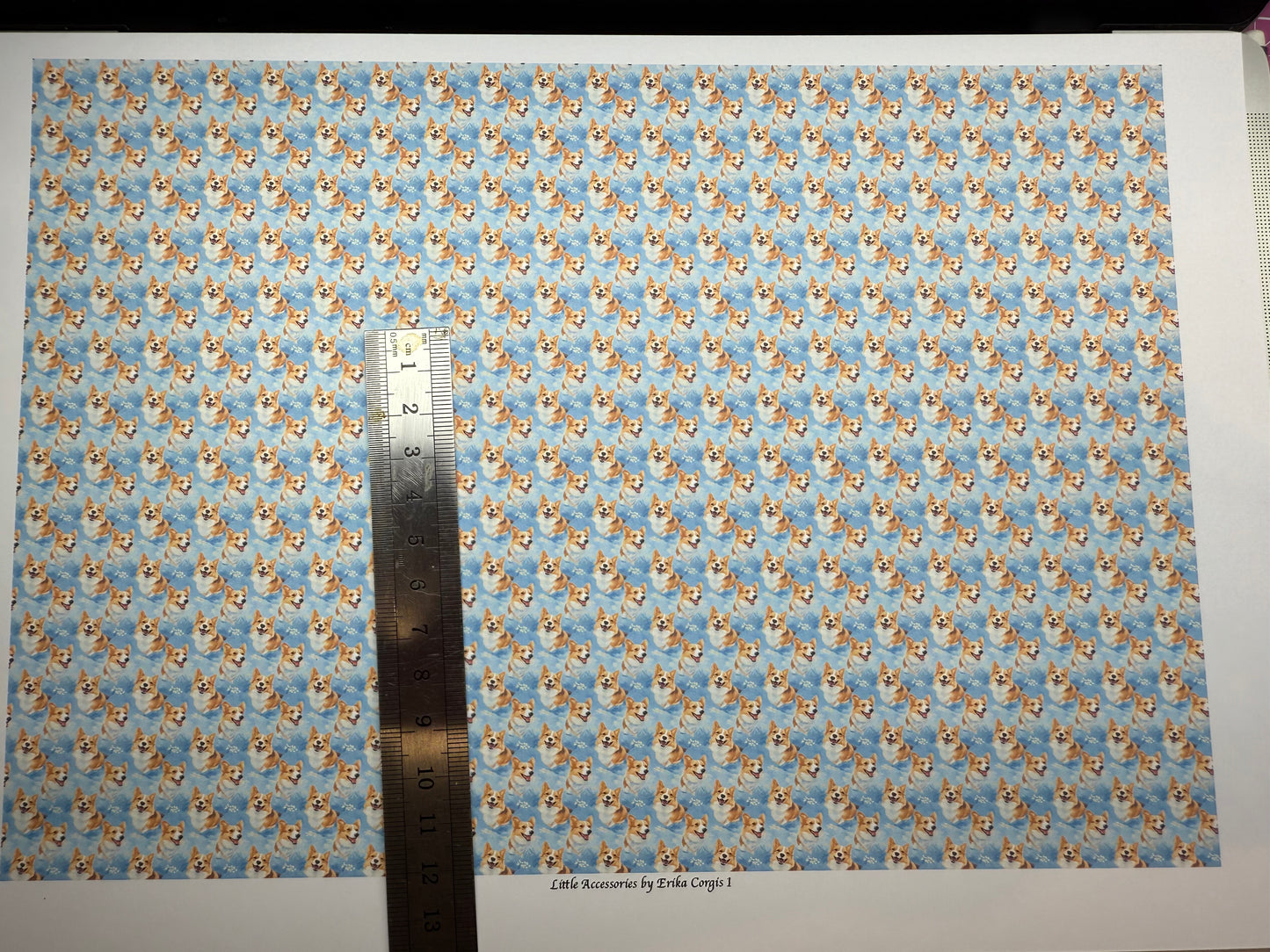 Wallpaper ANIMALS dogs