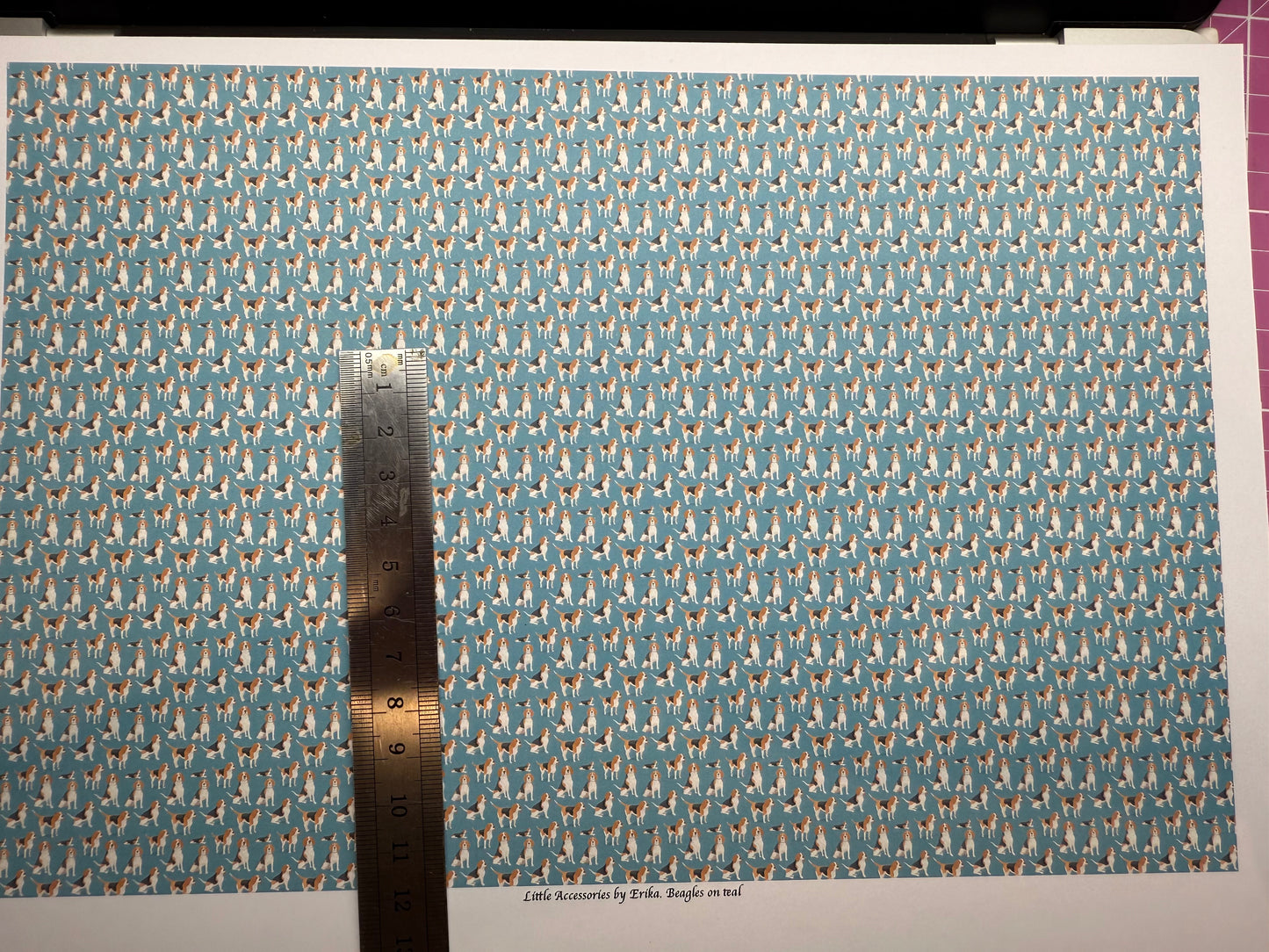 wallpaper animals DOGs beagles on teal