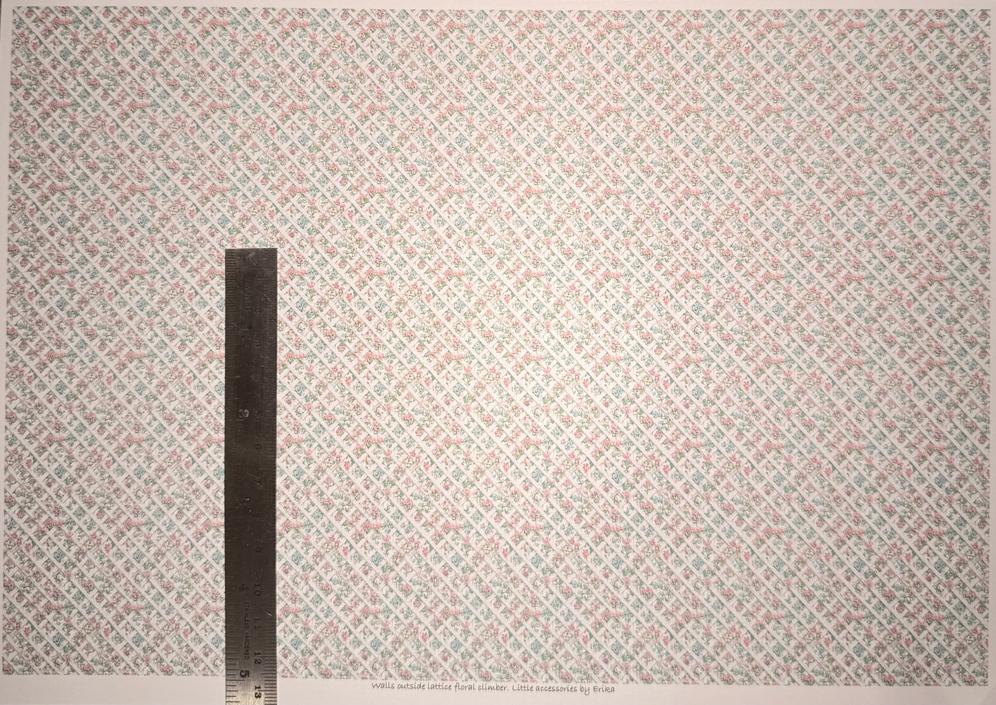 Outside walls lattice floral climber. 1/48