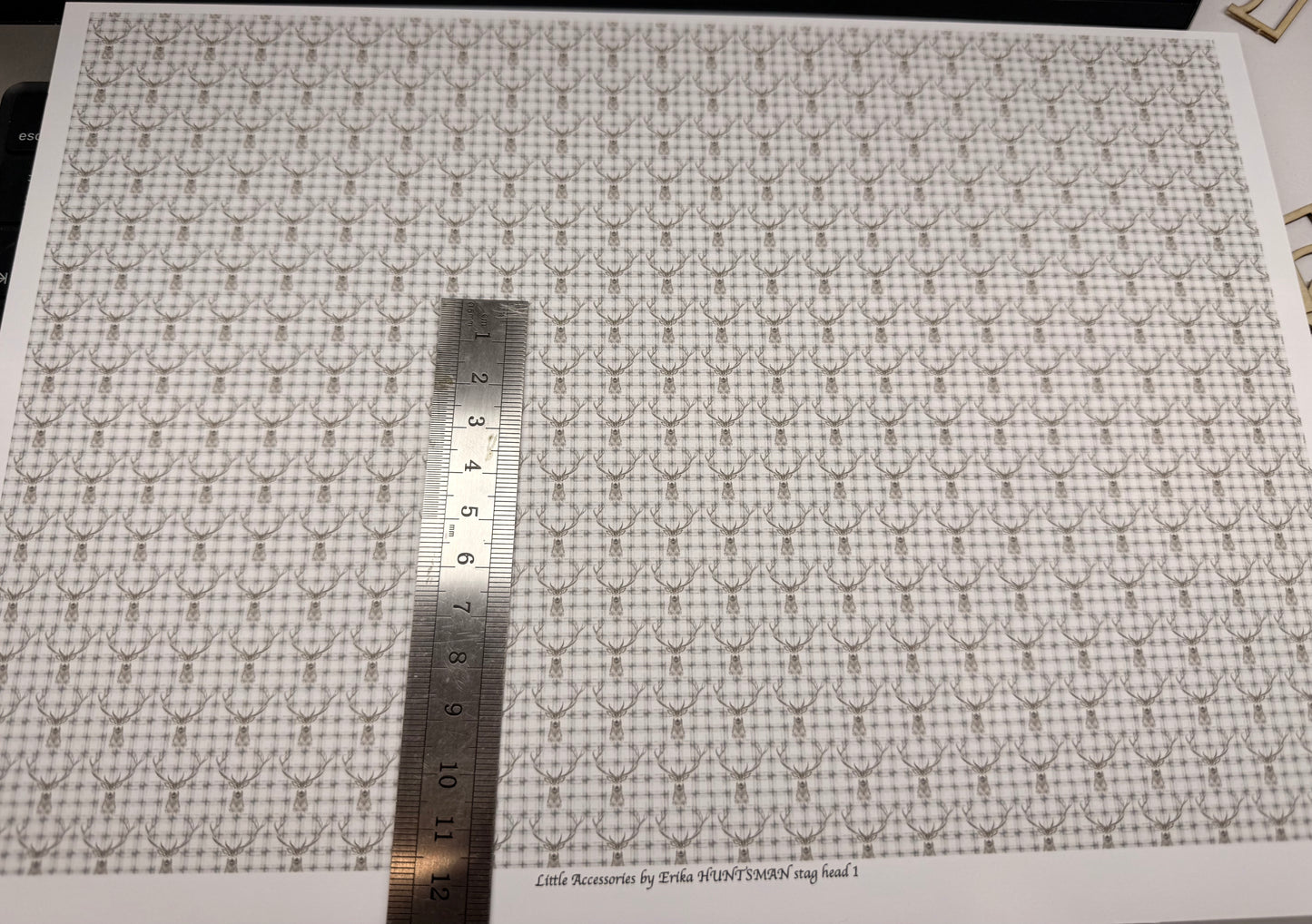 Wallpaper. Hunting. Stags head 1