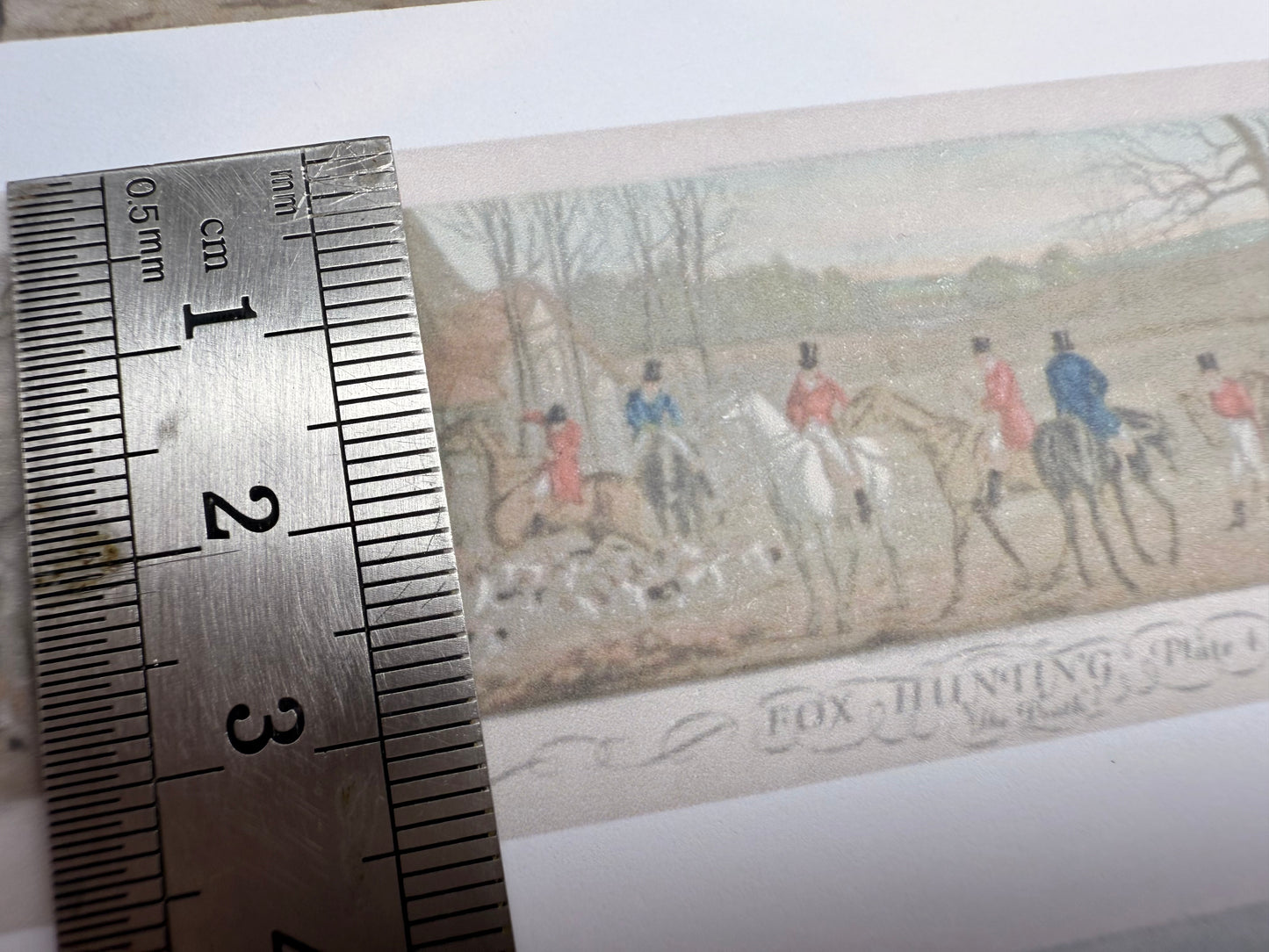 Wallpaper HUNTSMAN. friezes