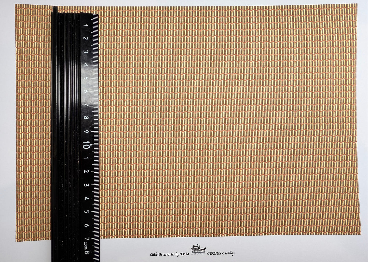 Wallpaper Circus 5 Scallop