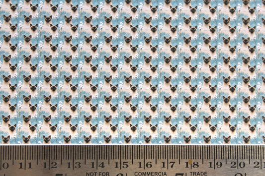 Wallpaper, Cats, Siamese blue background 1/48th scale