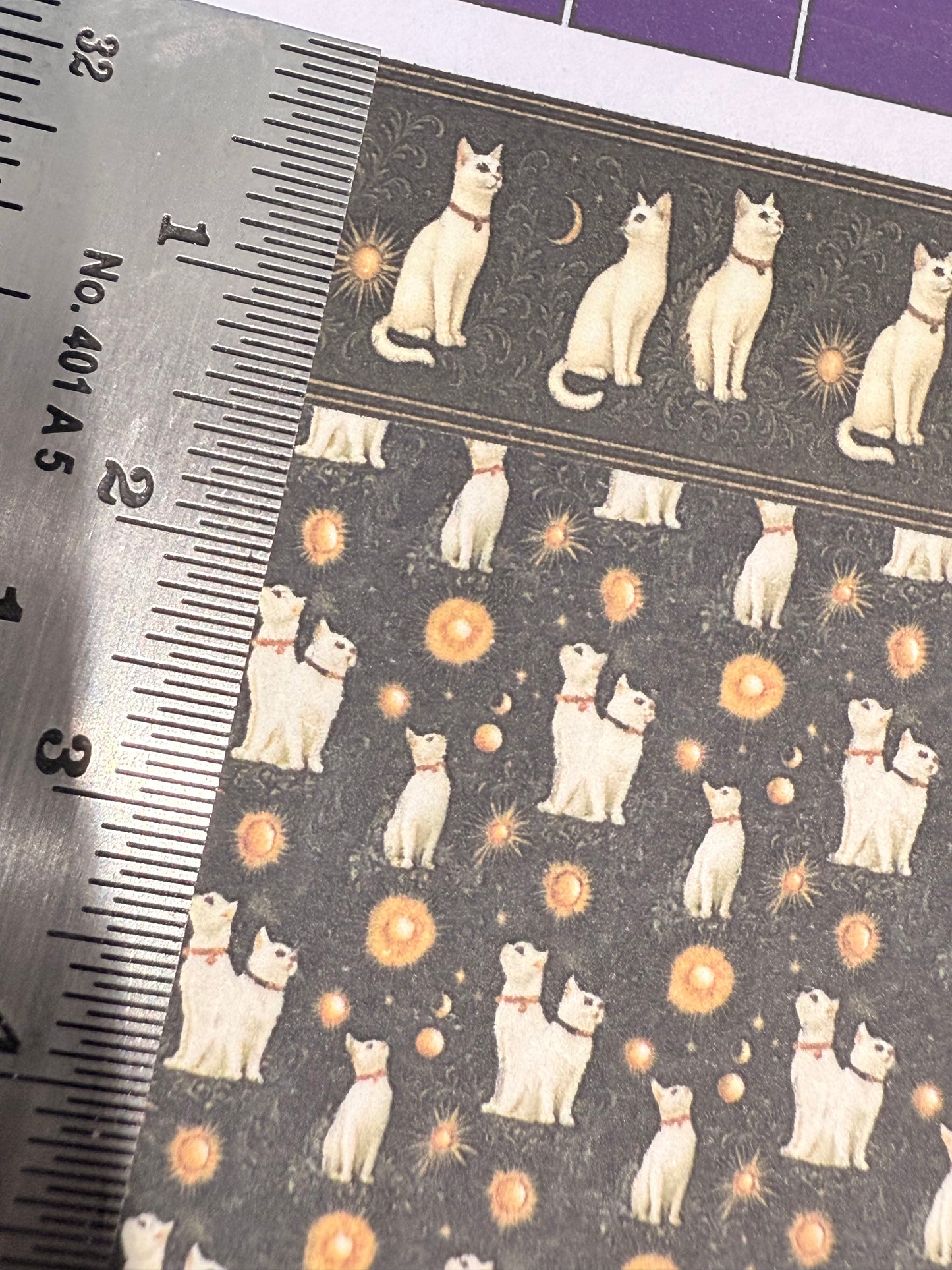 SET 1/48  CELESTIAL CATS