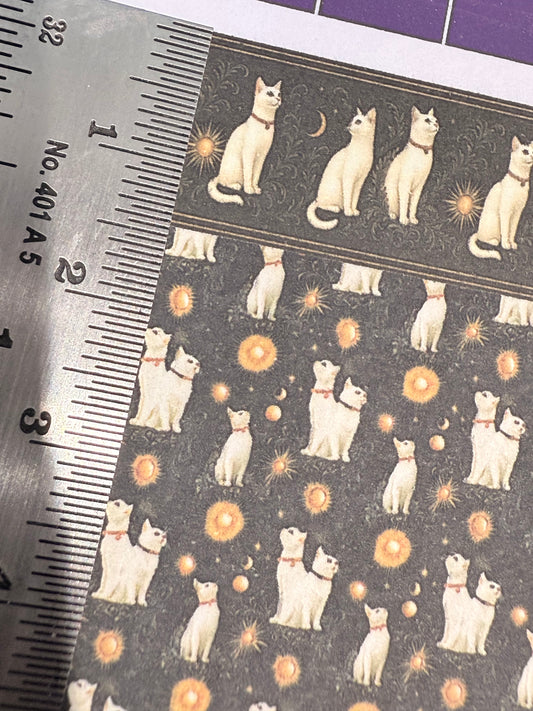 SET 1/48  CELESTIAL CATS