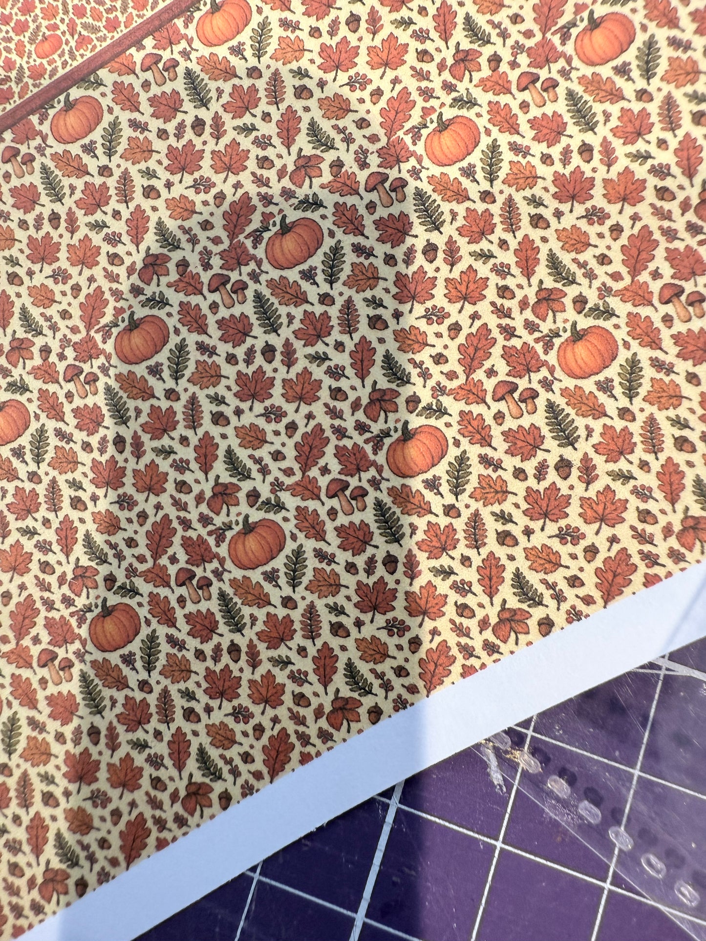 SET - AUTUMN WARMTH 1/48TH