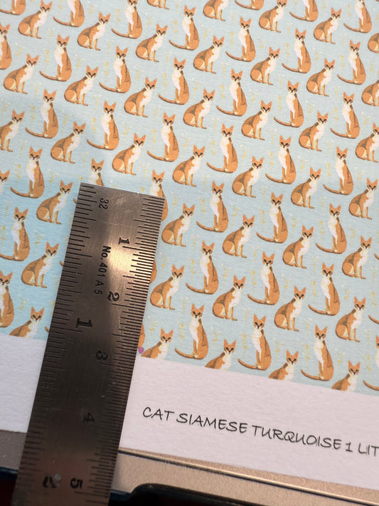 wallpaper cat siamese turquoise 1.  1/48