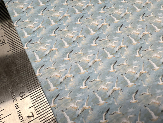 wallpaper Seagulls 2.   1/48th scale