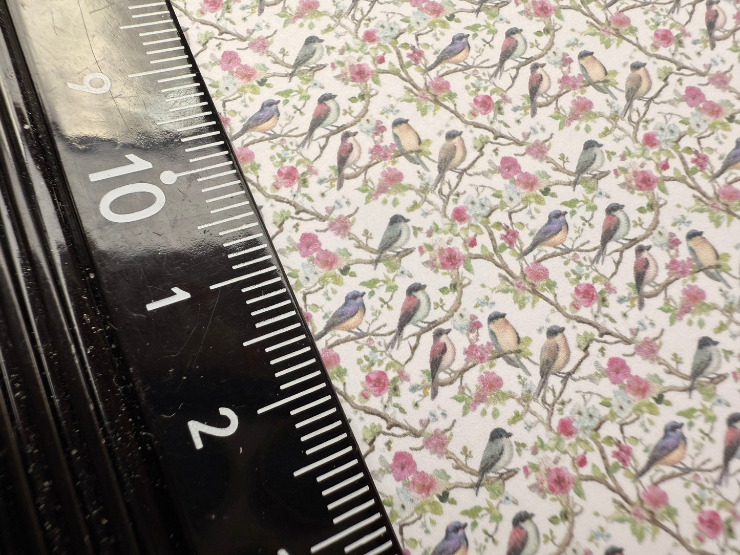 Wallpaper Grannies bedroom birds 2