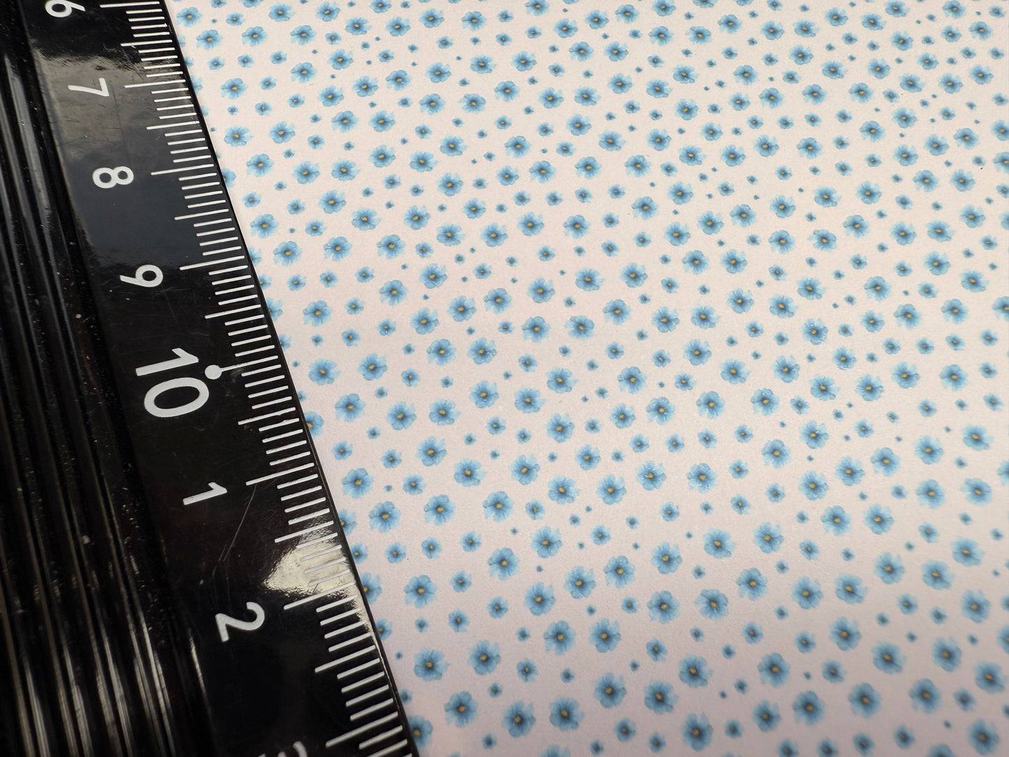 Wallpaper Forget me nots