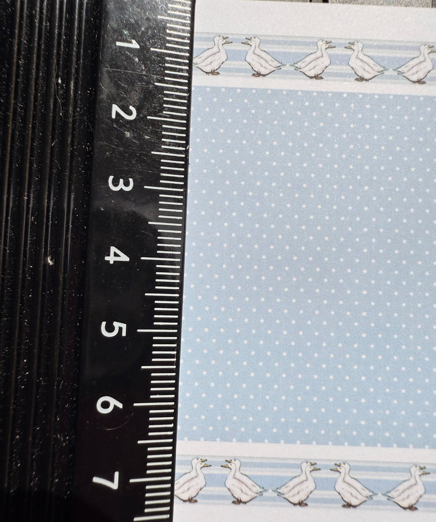 Wallpaper children bp white geese border blue spots